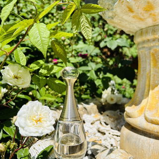 J'adore (Eau de Parfum) von Dior