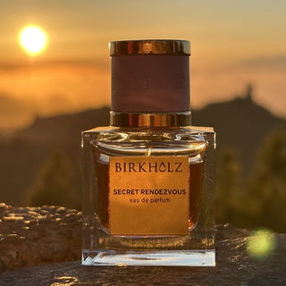 Secret Rendezvous - Birkholz
