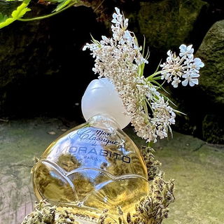 Mon Classique (Eau de Toilette) - Morabito