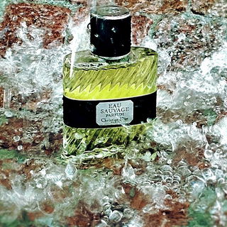 Eau Sauvage Parfum (2017) - Dior