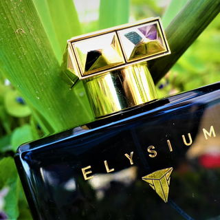 Elysium pour Homme (Eau de Parfum) by Roja Parfums
