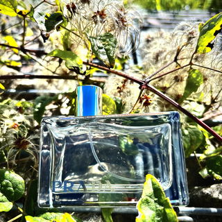 Prada (2004) / Prada Amber by Prada