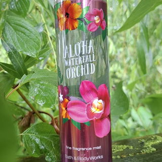 Aloha Waterfall Orchid von Bath & Body Works