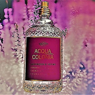 Lavender & Thyme - 4711