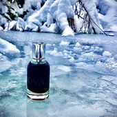 Sova auf Eis bitte ;-)) (von Rosie88)