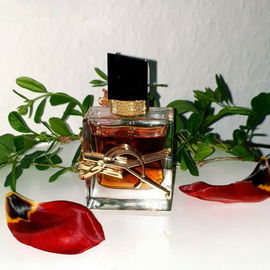 Libre L'Absolu Platine - Yves Saint Laurent