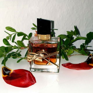 Libre L'Absolu Platine - Yves Saint Laurent