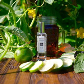 Earl Grey & Cucumber - Jo Malone