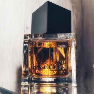 M7 (2011) / M7 Oud Absolu von Yves Saint Laurent