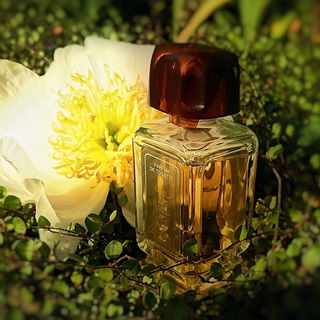 Weil de Weil (Parfum de Toilette) - Weil