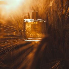 La Fumée Arabie - Miller Harris