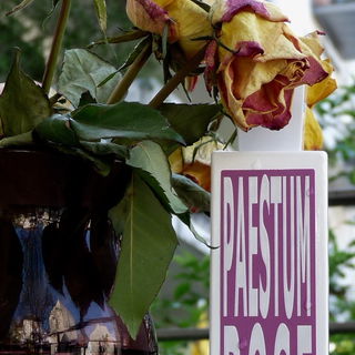 Paestum Rose - Eau d'Italie