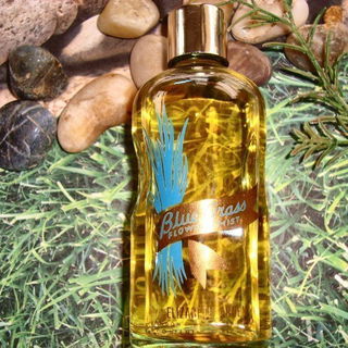 Blue Grass (1934) (Perfume) - Elizabeth Arden