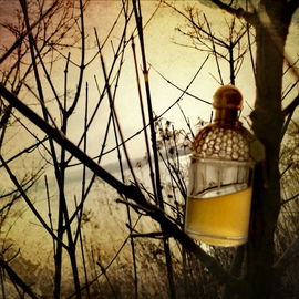 Aqua Allegoria Ylang & Vanille - Guerlain
