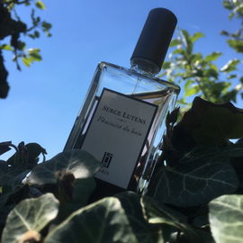 Féminité du bois von Serge Lutens