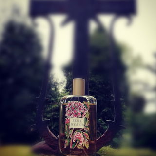 Belle d'Amour by Fragonard