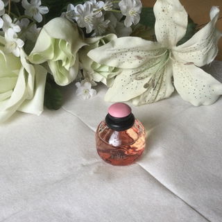 Paris Premières Roses 2010 von Yves Saint Laurent