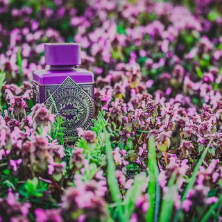 Ich danke euch für eure Kommentare! 👌🏻