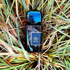 Gris Charnel (Extrait) - bdk Parfums