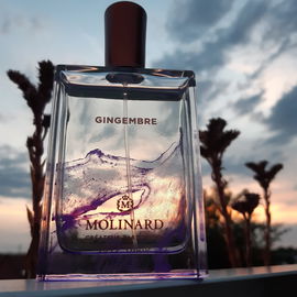 Gingembre - Molinard