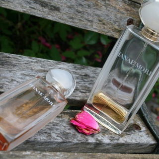 in meinem Garten aufgenommen :-)