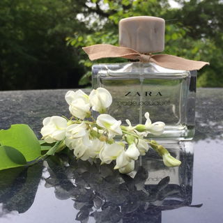 Nude Bouquet (2016) von Zara