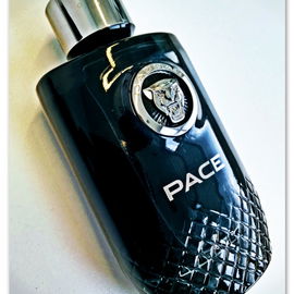 Pace - Jaguar
