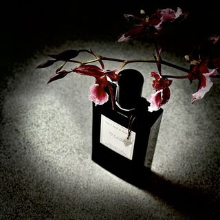 Dankeschön fürs Vorbeischauen! 🖤