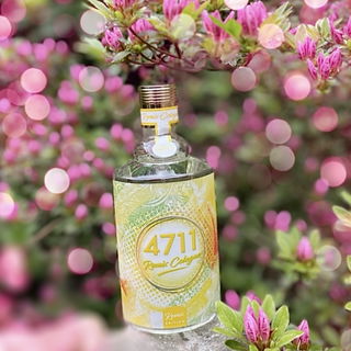 Remix Cologne Edition 2020 von 4711