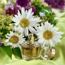 Ein Blumengruß 🌸 Ich wünsche Euch ein rundum schönes, Wochenende, voller Sonne, guter Momente und entspannter Stunden. Lasst es Euch gutgehen!  Liebe Grüße 🌼🥰🙋‍♂️