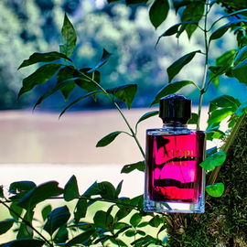 Joop! Homme (Eau de Parfum Intense) - Joop!