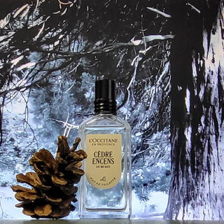 Cèdre Encens / Eau des Baux