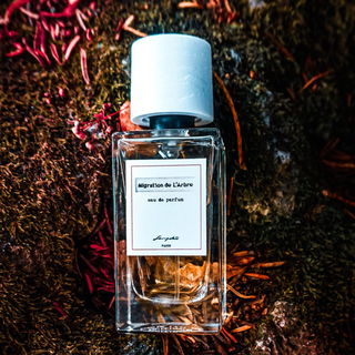 Migration de L'Arbre - Senyokô