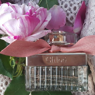 Roses de Chloé - Chloé
