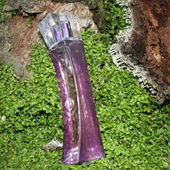 in meinem Garten aufgenommen :-) (von ElenaN)