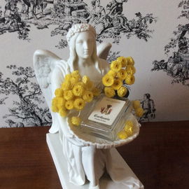 Im Jahr 1380 soll der Prior des Klosters San Giaccomo auf Capri einen unvorbereiteten Besuch der Königin Johanna I von Anjou erhalten haben. Die Mönche pflückten die schönsten Blumen der Insel.