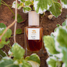 Amber Cologne - Bortnikoff