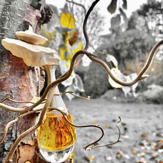 J'adore L'Absolu (2007) (Eau de Parfum Absolue) - Dior