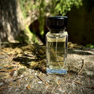 Rêve en Cuir by Indult