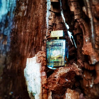 Sheikh Shuyukh Luxe Edition (Eau de Parfum) - Lattafa / لطافة