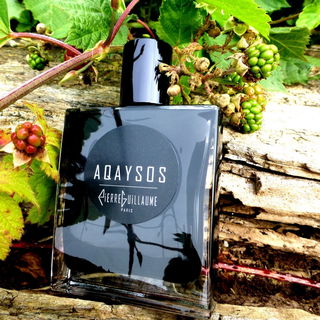 Aqaysos - Pierre Guillaume