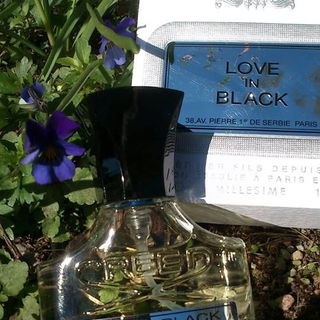Love in Black by Creed