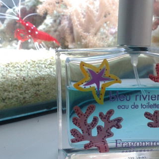 Bleu Riviera (2010) by Fragonard