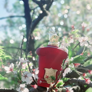 Casamorati - Italica by Xerjoff