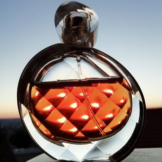 Untold Absolu - Elizabeth Arden