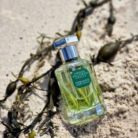 ***Pudrig-grüne Strandruhe - ein perfekter Begleiter für einen Sommertag am Meer. 💚lichen Dank für Euren Besuch und genießt den Sommer 😎***