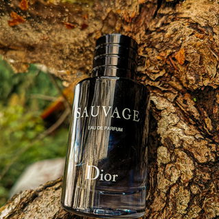 Sauvage (Eau de Parfum) by Dior