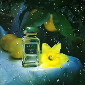 Limone di Sicilia - Aerin