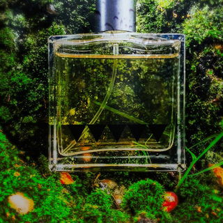 Undergrowth (2020) - Rook Perfumes