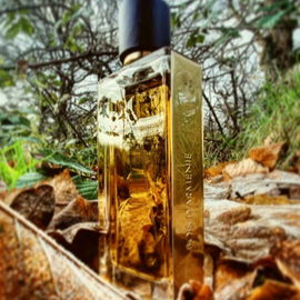Into the woods* with Bois D'Armenie, on the morning walk with the dog. Found this bottle in my pocket, taken along accidentally on purpose. Oh well.... I might as well take a photo then.  * shot on location 😉